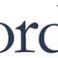 Wordia - słownikowa alternatywa dla Wikipedii i Dictionary.com