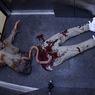 SA Wardega – nowy film. Apokalipsa zombie w Polsce, czyli milion wyświetleń w 13 godzin!
