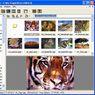 XnView 1.96 w pierwszej wersji Beta