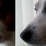 Jest YouTube w 1080p