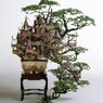 Drzewko bonsai jeszcze piękniejsze niż zwykle