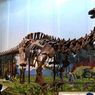 Dlaczego naprawdę wyginęły dinozaury? Zaskakująca hipoteza brytyjskich naukowców