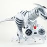 Roboraptor - mechaniczne zwierzątko domowe?