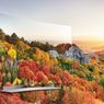 Flagowy telewizor LG EG9600 w teście porównawczym zmasakrował konkurenta ze stajni Samsunga