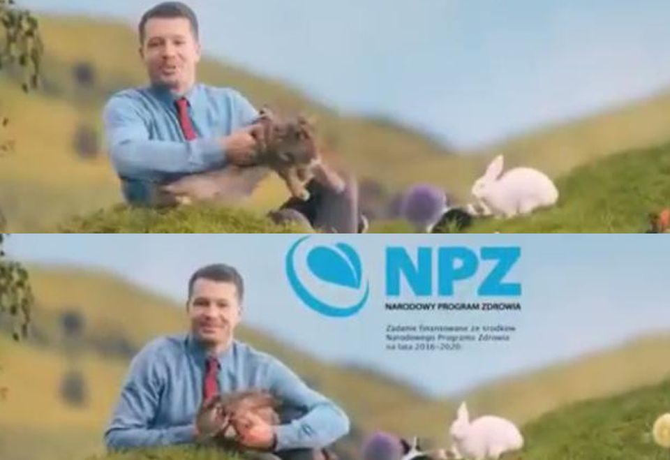 2Króliki w kampanii