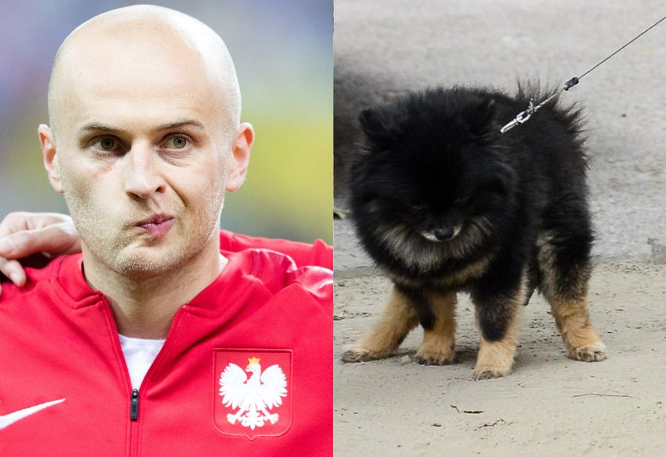 2Pooglądać zdjęcia Czarka Lisa