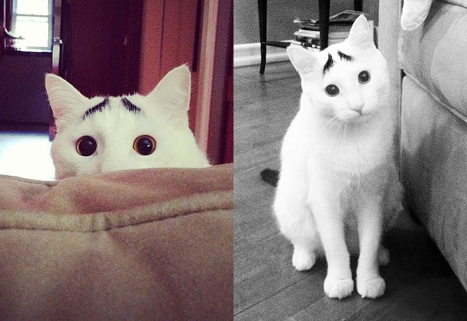 fb8e92c9082fa162e4e9e56c939a48c91641e468