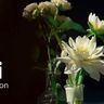 Event Domodi – Autumn Session 2019. Cykl spotkań o kobietach i dla kobiet