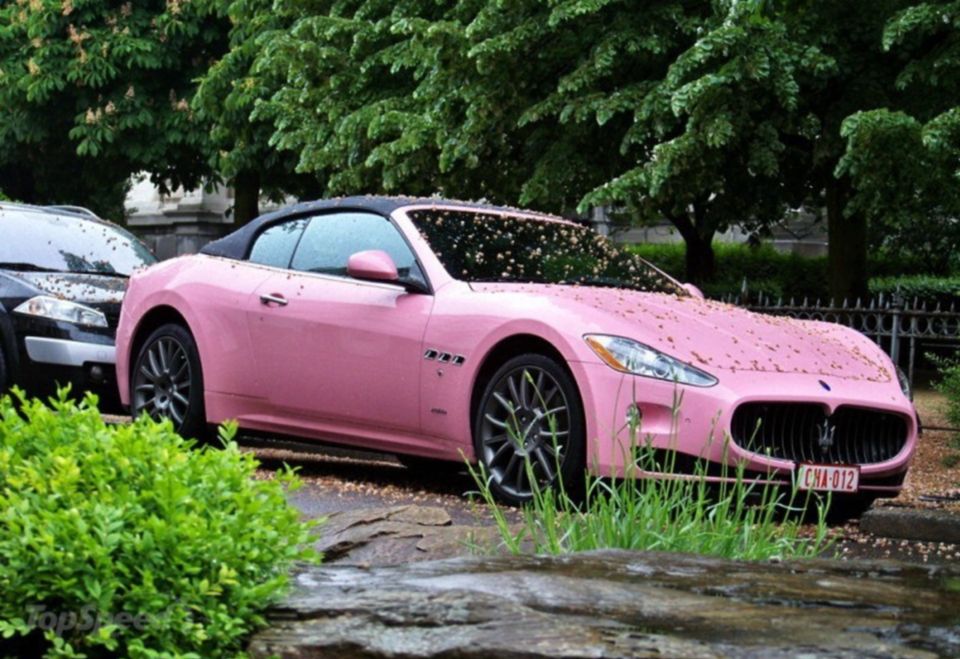 Różowe samochody sportowe Maserati Grancabrio