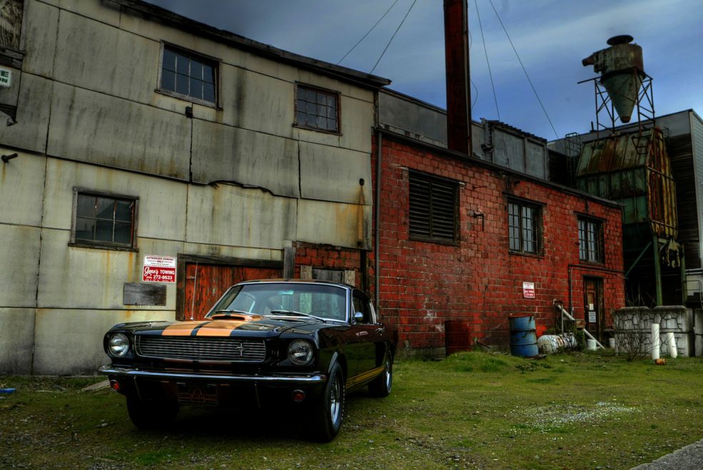 Samochody w HDR Shelby GT350H, fot. na lic. CC; Flickr.com/by Beer Wagon Photography
