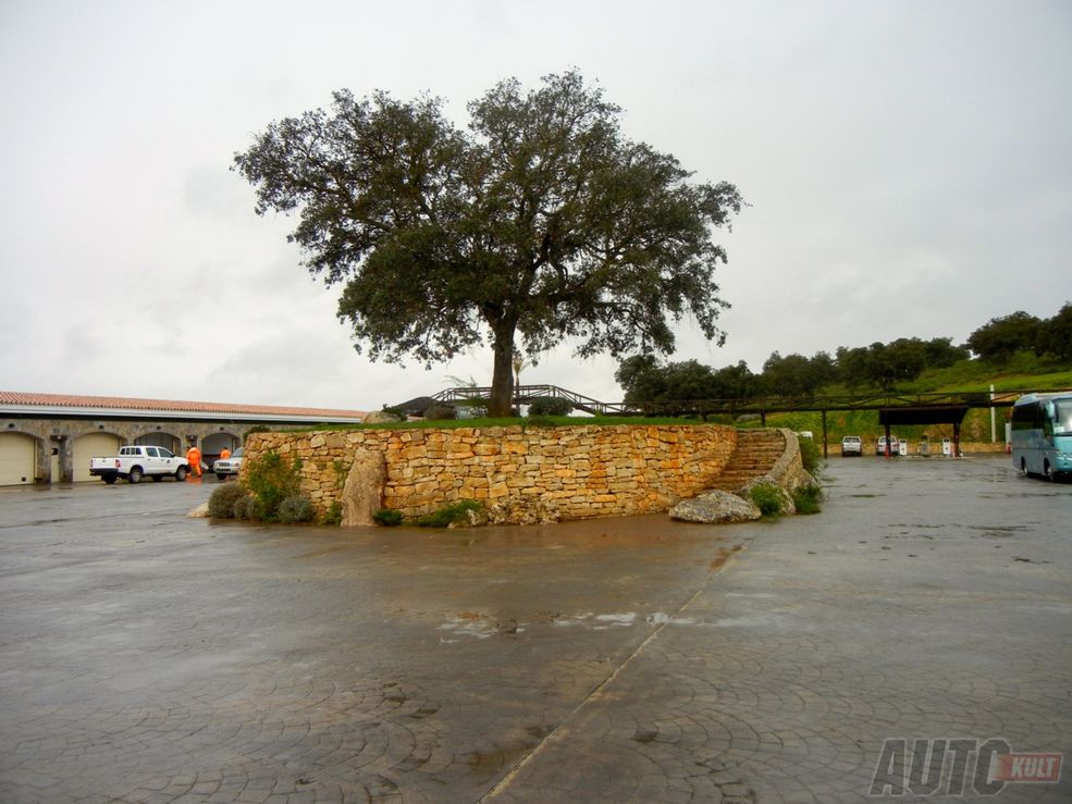 Bridgestone Ultimate Adrenalin Experience (Ascari Race Resort)-16