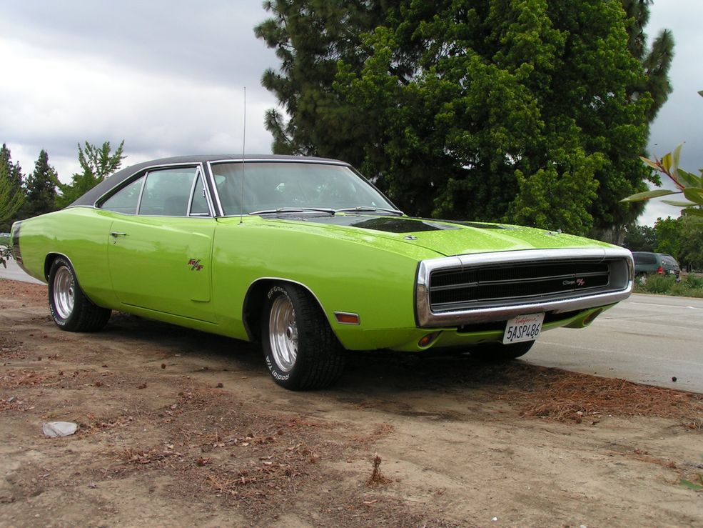 Dodge Charger (fot. skinz.org)