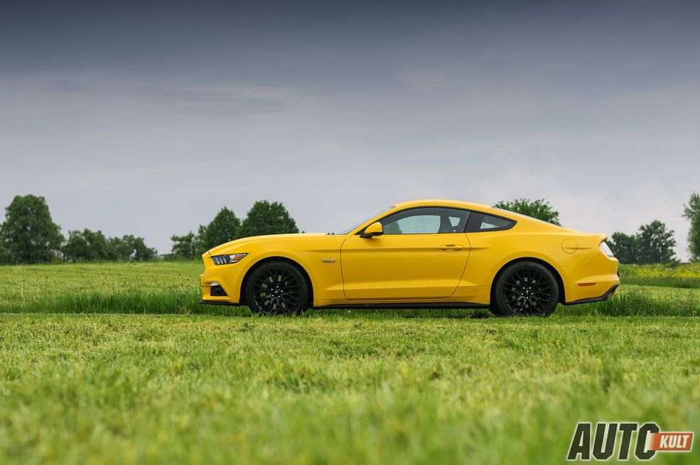 5-litrowe V8 i ręczna skrzynia biegów plus napęd na tył? Takich zestawów nie widuje się już często w ofertach producentów. Bastionu napędzanego emocjami broni Ford z nową generacją Mustanga, który potrafi wierzgać, o czym przekonaliśmy się podczas pierwszej jazdy po niemieckich górskich drogach.
Ford Mustang 5,0 V8, 2,3 EcoBoost - test