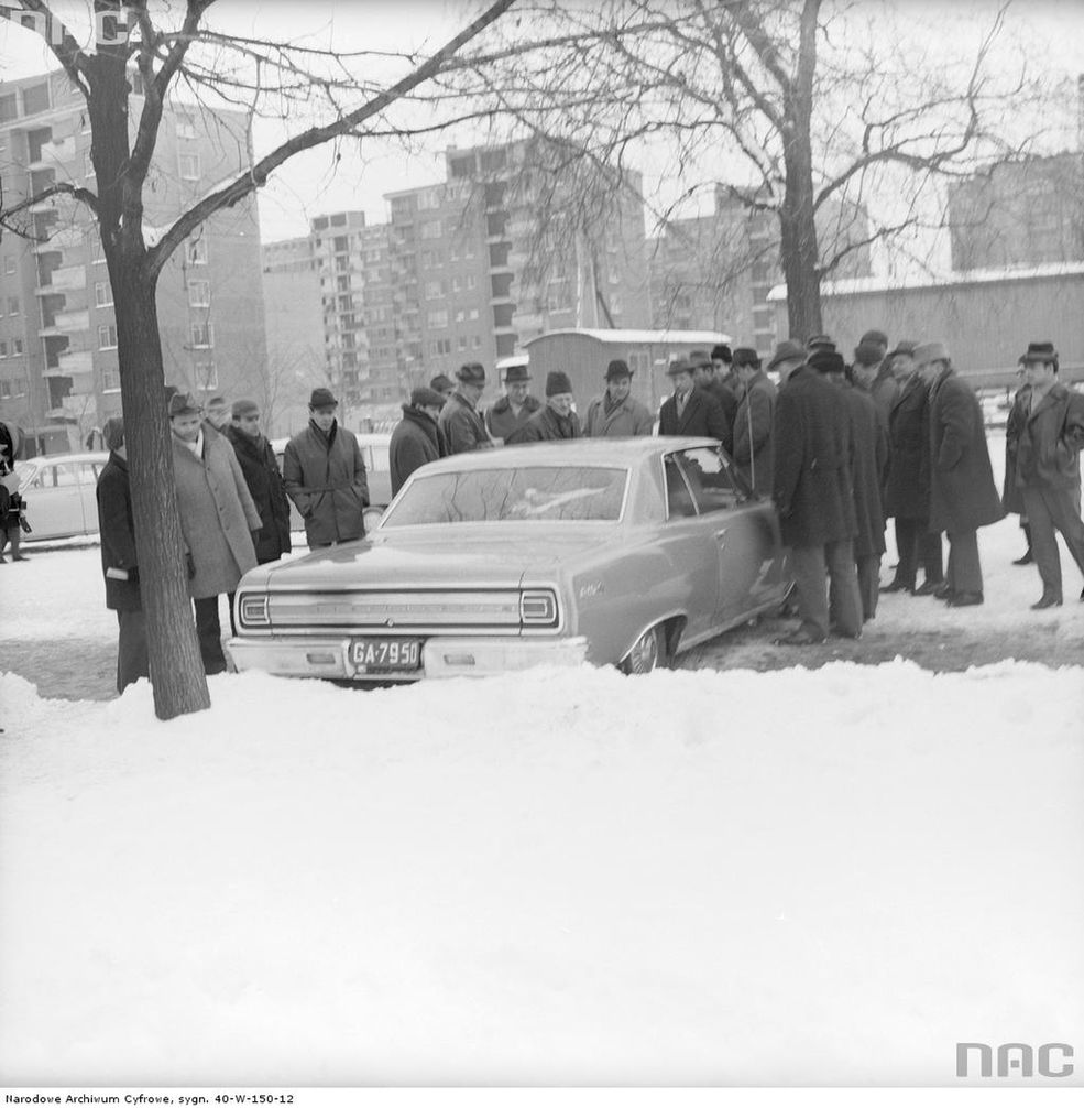 Chevrolet Malibu
Szacowany okres: 1969 - 1974
Miejsce: giełda samochodowa przy ul. Dzikiej w Warszawie