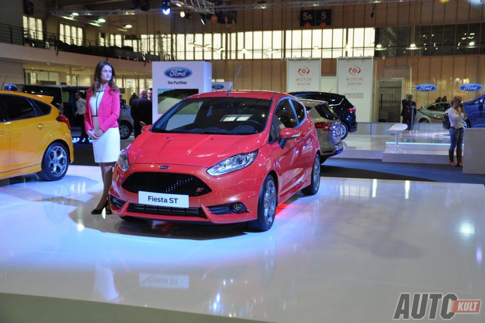 Poznań Motor Show 2013 (Fot. Piotr Piechocki) (8)