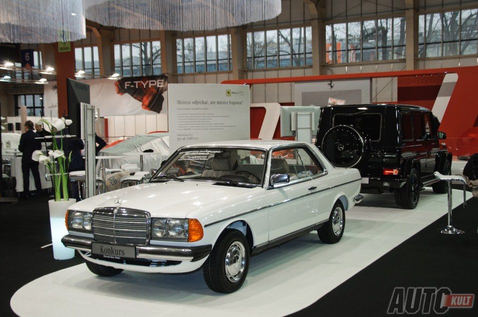 Poznań Motor Show 2013 (Fot. Piotr Piechocki) (22)