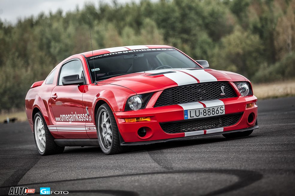 Shelby GT500 (fot.GIIFOTO)
