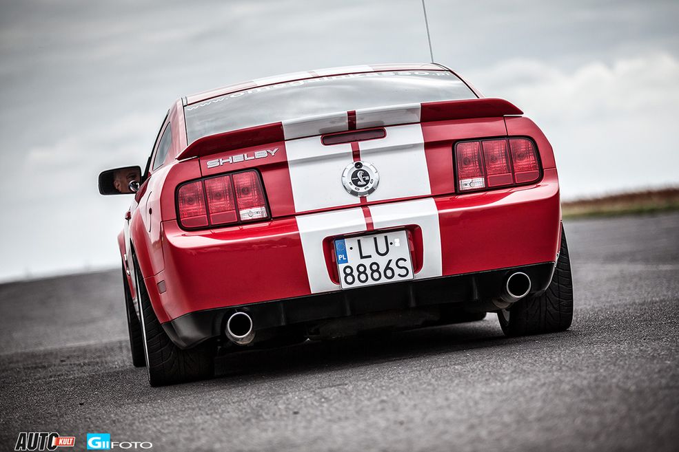 Shelby GT500 (fot.GIIFOTO)
