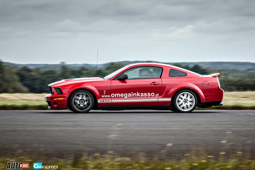 Shelby GT500 (fot.GIIFOTO)