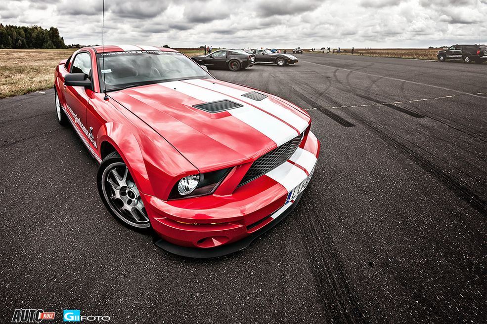 Shelby GT500 (fot.GIIFOTO)