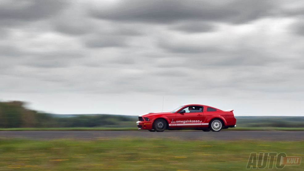 Shelby GT500 (fot. Mariusz Zmysłowski)