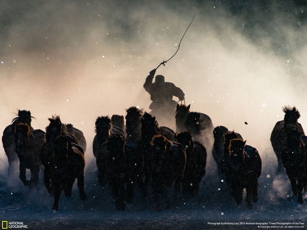 National Geographic Travel Photographer of the Year 2016 to najbardziej prestiżowy konkurs fotograficzny o tematyce podróżniczej. Rok w rok spotyka się z ogromną popularnością. Tegoroczny konkurs odbył się w 3 kategoriach: Miasta, Natura i Ludzie.
Główną nagrodą w konkursie jest tytuł Podróżniczego Fotografa Roku 2016 oraz 7-dniowe safari w Churchill Seal River Heritage Lodge w Kanadzie i sprzęt fotograficzny Sony, w tym aparat Sony a6300. Wszystkie powyższe rzeczy otrzymał Anthony Lau za zdjęcie zatytułowane „Winter Horseman”, które pokazuje poganiacza stada koni z Mongolii. Ta fotografia wygrała również I miejsce w kategorii „ludzie”.