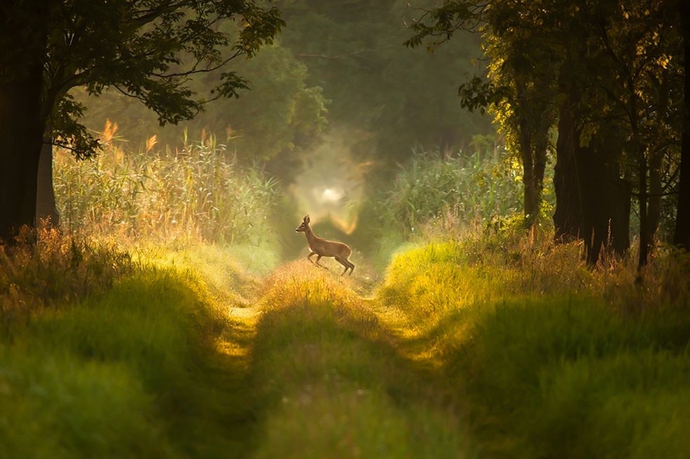 Fotografie wykorzystane za zgodą autora.