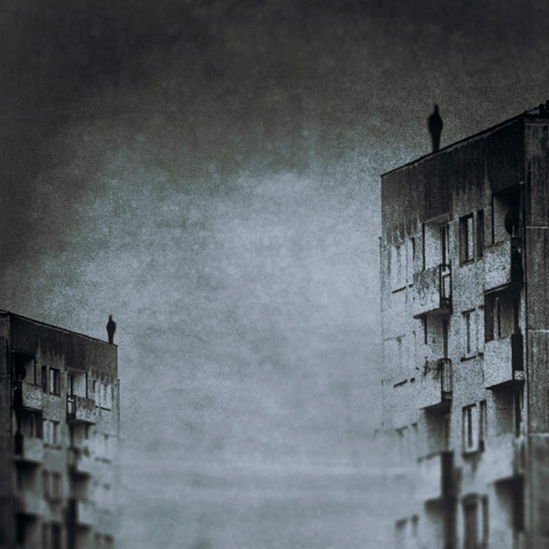 Jak opiszesz to, co robisz?
Bardzo cenię specyficzną estetykę i atmosferę na zdjęciach. Uwielbiam oniryczne, surrealne sceny, z pogranicza koszmaru - zabawę formą, niepokój i mrok - choć tego słowa też staram się nie nadużywać, bo zazwyczaj brzmi śmiesznie. Najczęstszym komentarzem odbiorców moich prac jest określenie "mroczne". Nie przeszkadza mi to jakoś bardzo, jednak zdecydowanie wolę gdy ktoś widzi w nich coś więcej niż tylko to.