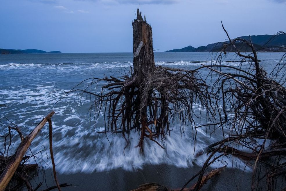 General News Stories - 3 miejsce Zniszczenia dokonane przez tsunami w japońskiej miejscowości Rikuzentakata. Na skutek katastrofy z 2011 roku 15 848 osób zginęło, a 3305 zaginęło bez wieści. Wielu mieszkańców regionu nadal mieszka w tymczasowych schronieniach. Fot. Daniel Berehulak.