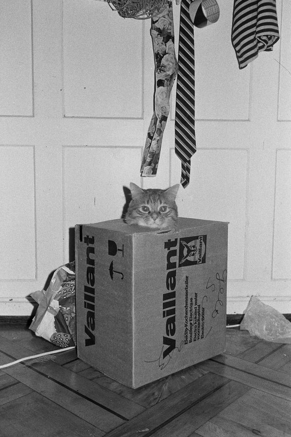 7 Walter Pfeiffer, Bez tytułu, z cyklu Welcome Aboard, 2001
C-Print, 59 x 39,5 cm © Walter Pfeiffer / Pro Litteris