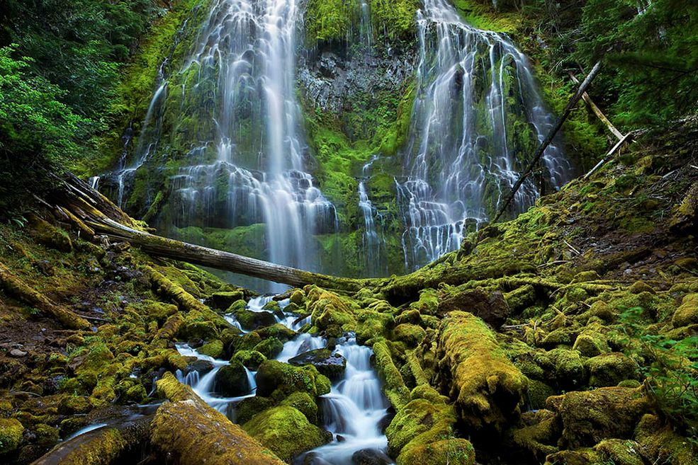 Zwycięzca kategorii Krajobraz, student. Na zdjęciu Proxy Falls w Oregonie.
W konkursie brali udział amatorzy, studenci i profesjonaliści w kategoriach: Krajobraz, Wildlife, Człowiek w Naturze, Najbardziej Inspirujący Moment.
