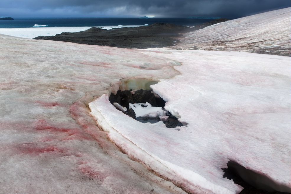 Większość zdjęć Antarktydy, które znamy, to białe góry lodowe i lodowce fotografowane z oceanu. Lacombe doszedł do wniosku, że to wina braku dostępu fotografów do prawdziwego krajobrazu zimnego kontynentu. Idąc za ciosem, zdobył specjalne zezwolenie od rządu Argentyny i zamieszkał w Esperanza Base. Dwa miesiące przebywania wśród surowego krajobrazu Antarktydy pozwoliły mu zobaczyć zmiany świateł i barw niemal niedostrzegalne podczas krótszej obserwacji.