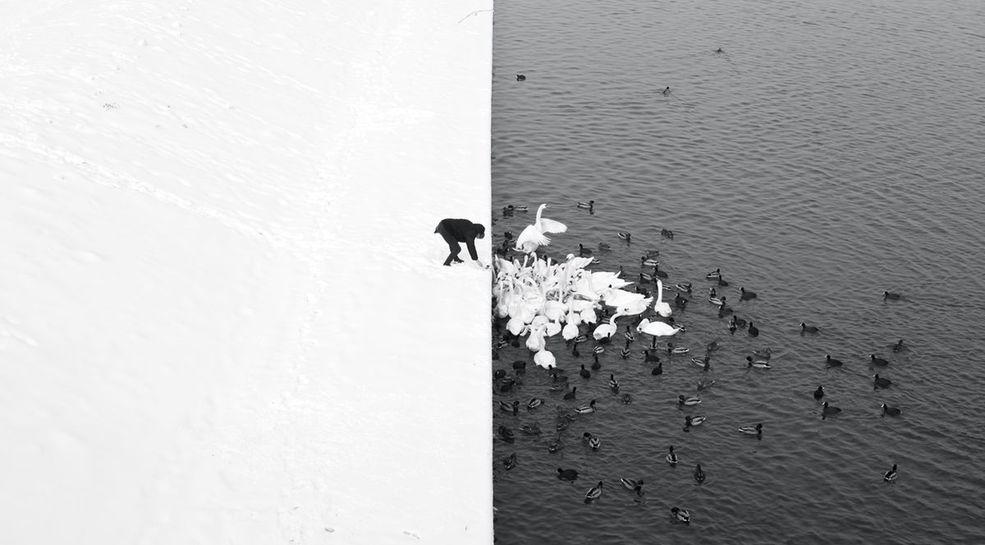 W kategorii Open Monochrome zwyciężył Polak, Marcin Ryczek z Krakowa. Jego znane w kraju zdjęcie mężczyzny karmiącego łabędzie, spotkało się z ogromnym uznaniem. Powstało ono w stolicy Małopolski. Śnieg oraz czerń rzeki stworzyły naturalny, minimalistyczny podział kadru na dwie części, który nawiązuje do idei równowagi we wszechświecie – Yin-Yang.