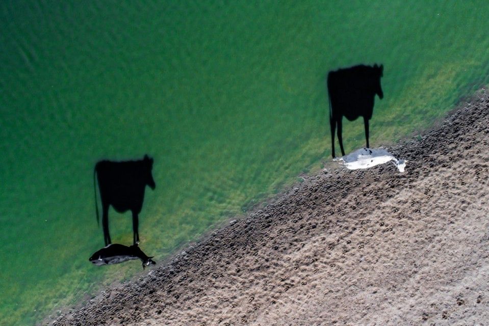 Ostatnie lata w świecie fotografii stoją pod znakiem stale rosnącej popularności dronów. Fotografowie pokochali małe bezzałogowe statki powietrzne, które obecnie są dużo tańsze i prostsze w obsłudze, niż jeszcze kilka lat temu. Nic więcej dziwnego, że organizowane są też konkursy fotograficzne poświęcone zdjęciom z powierza. Jednym z ciekawszych jest dopiero co zakończony 4. doroczny konkurs portalu Dronestagram.
