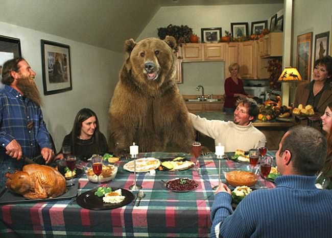 Brutus the Bear Niedźwiedź na zdjęciu to Brutus. Zwierzę było od małego chowane wraz z ludzką rodziną i teraz stanowi jej nieodłączny element.