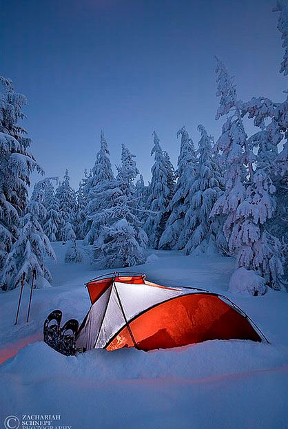 11 Winter