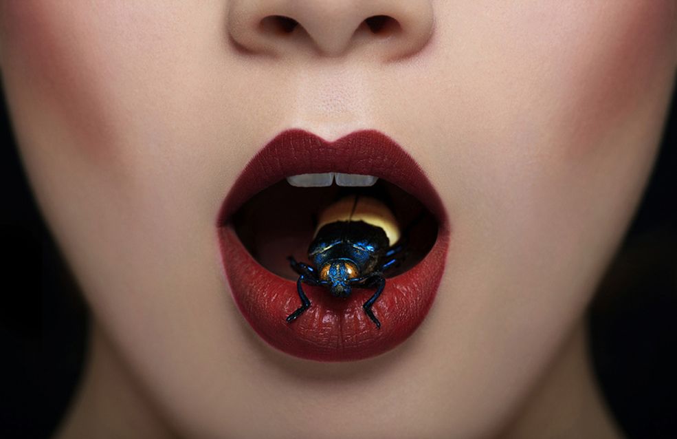 Fotograf, Marc Lamey, stworzył dwie serie portretów opierających się na koncepcji beauty, której założeniem jest ukazywanie piękna. Zdjęcia są równo oświetlone oraz idealnie wyretuszowane – nie ma na nich najmniejszych niedoskonałości. Czy owady w ustach i na twarzach modelek można tak traktować? Nie sądzę. Są one piękne – ich kolory, faktura. Ważna jest tutaj tylko koncepcja stworzenia dla nich „pojemnika” w postaci ust modelek.