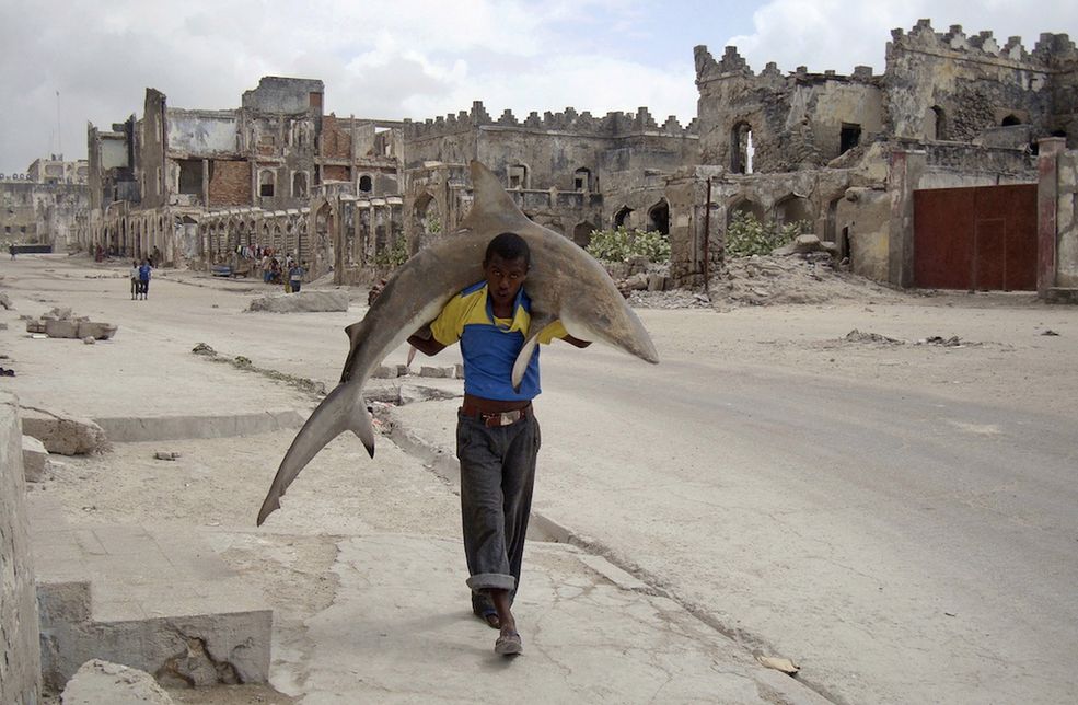 Fot. Omar Feisal / dla Reuters / Somalia 1st Prize Daily Life Single
Omar Feisal, Somalia, for Reuters
Man carries a shark through the streets of Mogadishu, Somalia, 23 September
