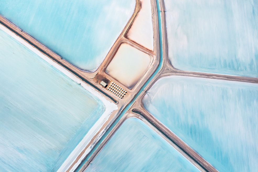 „Blue Fields, 1"