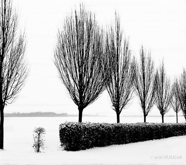 13 Winter