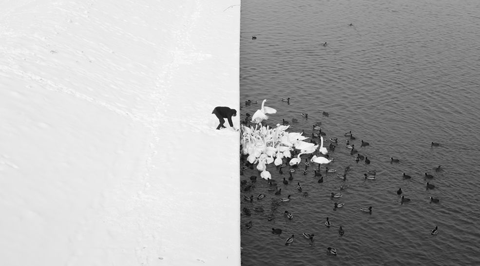 I miejsce w kategorii Nature: Other