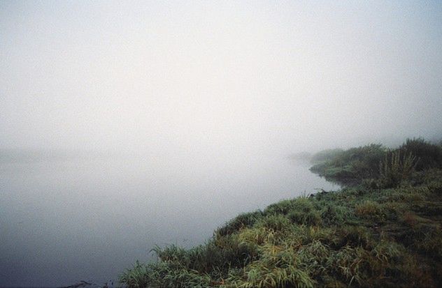 mgła