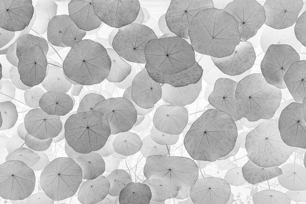 I miejsce w kategorii Fine Art: Abstract