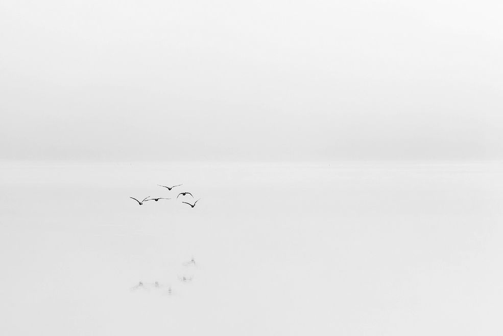 Inspiracjami dla tej artystki są stare polskie albumy fotograficzne, w których szuka znakomitych, klimatycznych fotografii. Motywacji poszukuje również w licznych galeriach internetowych – bez względu na to, jaką dziedzinę sztuki obrazowania przegląda.