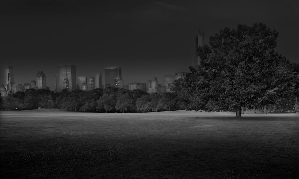 Fotograf rozpoczął realizację projektu „Deep In a Dream” w 2009 roku. Długie nocne spacery były jego sposobem na poradzenie sobie z nieustanną bezsennością. Długotrwałe obserwacje i rozmyślania sprawiły, że autor czuł jakby te alejki mówiły do niego, wzywały go.