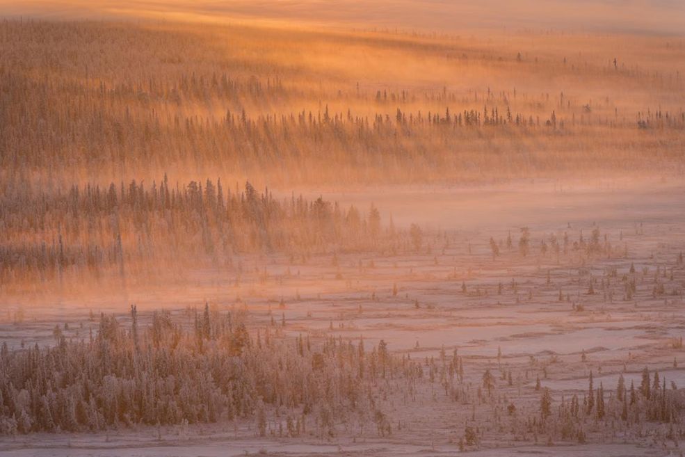 1. miejsce w kategorii Mist & Fog