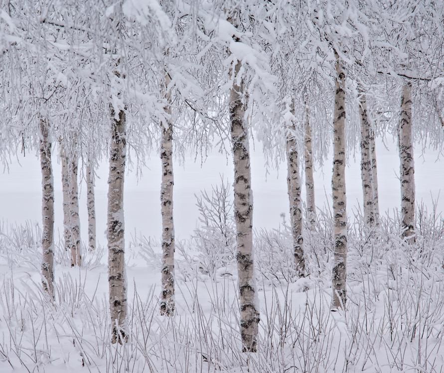 1. miejsce w kategorii Snow & Ice.