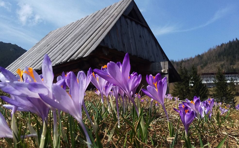 - Przynajmniej raz w roku odwiedzam nasze Tatry. Są bliskie mojemu sercu. Wędrując szlakami czuję się, jak w innym świecie, z daleka od zgiełku miast, w ciszy i spokoju. Moje myśli wtedy odpływają, a ja czuję się niesamowicie - mówi Kasia.