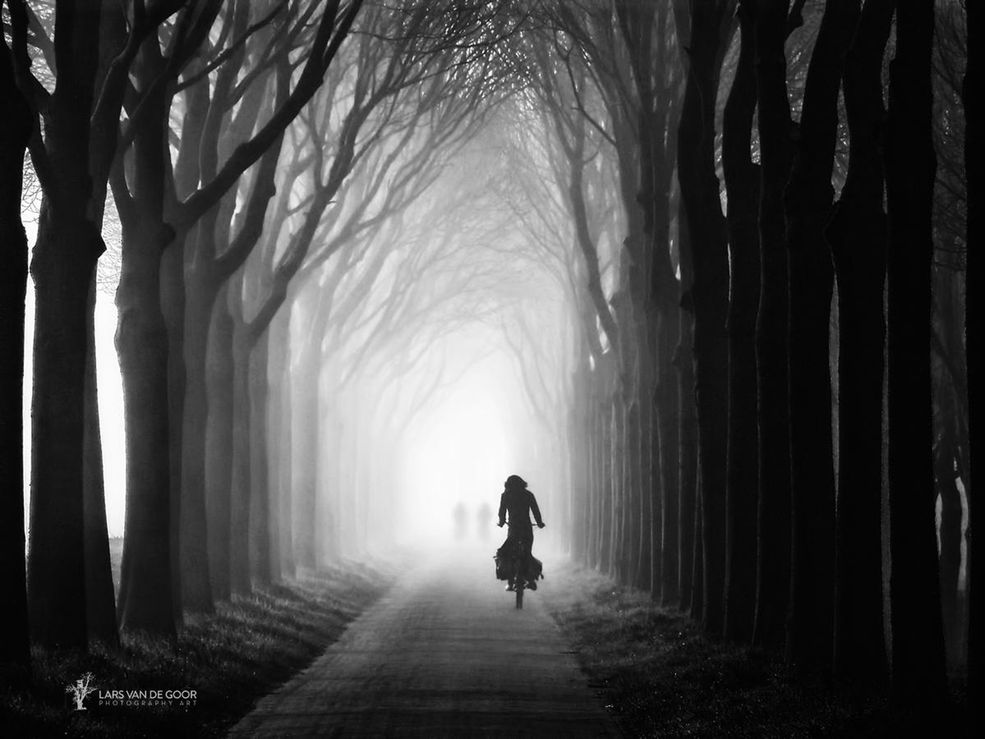 Lars van de Goor zachwyca mglistymi, tajemniczymi fotografiami. Przedstawiają one głównie krajobrazy, jednak na kilku kadrach są zarysy sylwetek ludzi.