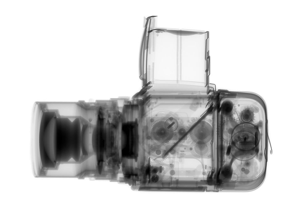 Projekt fotograficzny ”Spetiation” (”Specjacja”) odnosi się do biologicznego procesu ewolucyjnego, w wyniku którego powstają nowe gatunki organizmów. Fotograf Kent Krught podszedł w ten sposób do ewolucji aparatów fotograficznych i postanowił pokazać, jak zmieniało się ich wnętrze na przestrzeni dziejów.